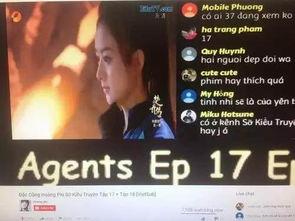 哪个视频能看更多国产剧,跟随热门视频一网打尽精彩剧集