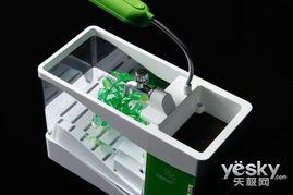 国产鱼缸测评视频,品质与性价比的完美结合