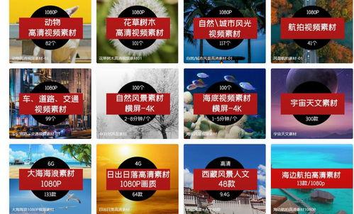 视频素材网站免费无水印国产,探索国内免费无水印视频素材宝藏