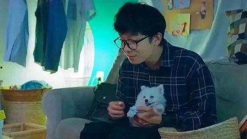 国产搞guy视频,揭秘国产科技新潮流