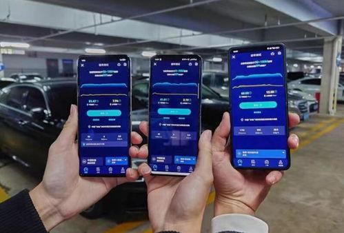 国产胶皮测评视频播放,热门品牌性能解析与实战对比