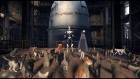 国产刀劈子弹视频,刀劈子弹实况震撼呈现