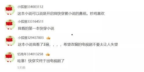 sihu国产精品视频,光影交织下的文化盛宴