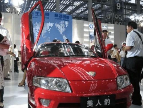 奇葩的国产车视频,国产车视频盘点，奇葩瞬间引网友热议