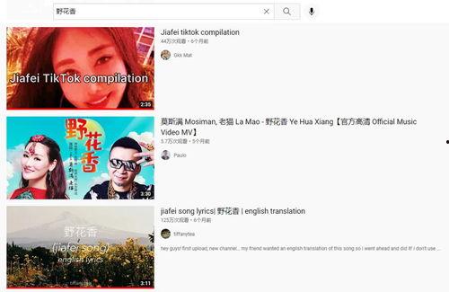 国产洋人在线视频