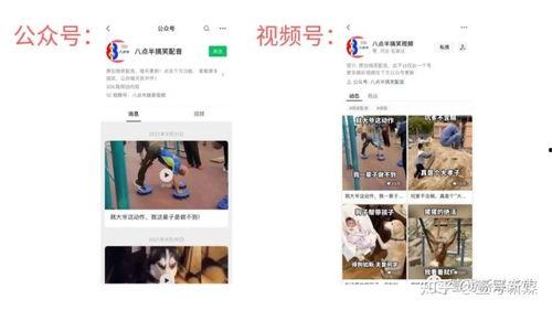 国产有多少万粉丝啊视频